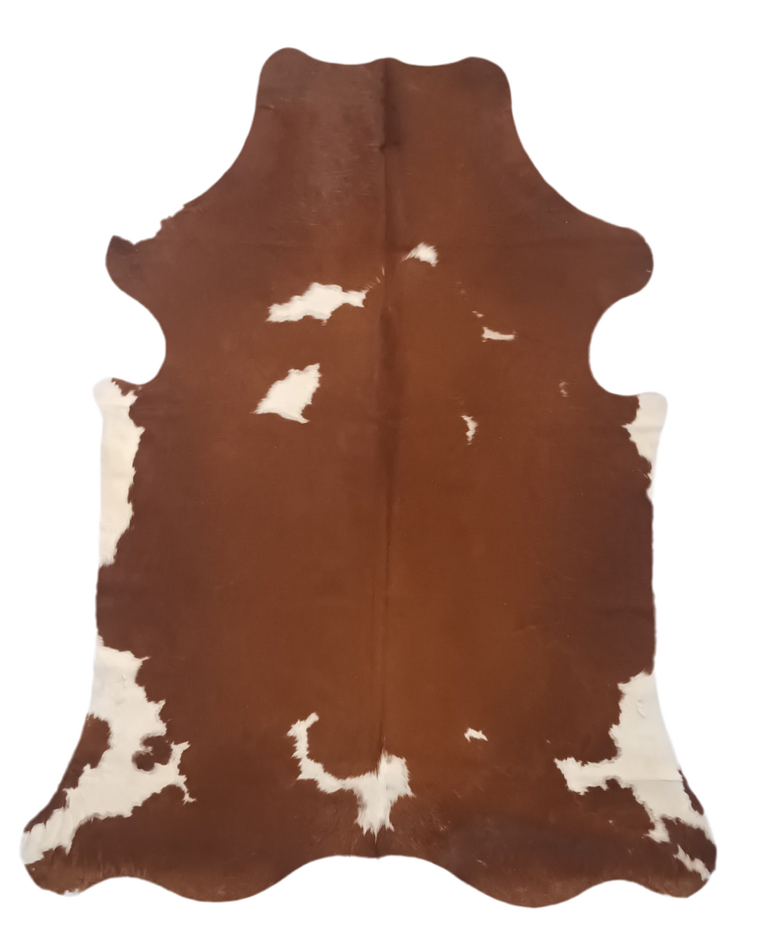 Premium Cowhide Rug 459 255cm x 203cm (100" x 80")XXL - cowhiderugslondon.co.uk