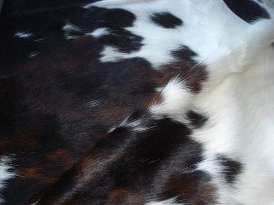 Premium Cowhide Rug P193 Size (2.10m x 1.78m) - cowhiderugslondon.co.uk