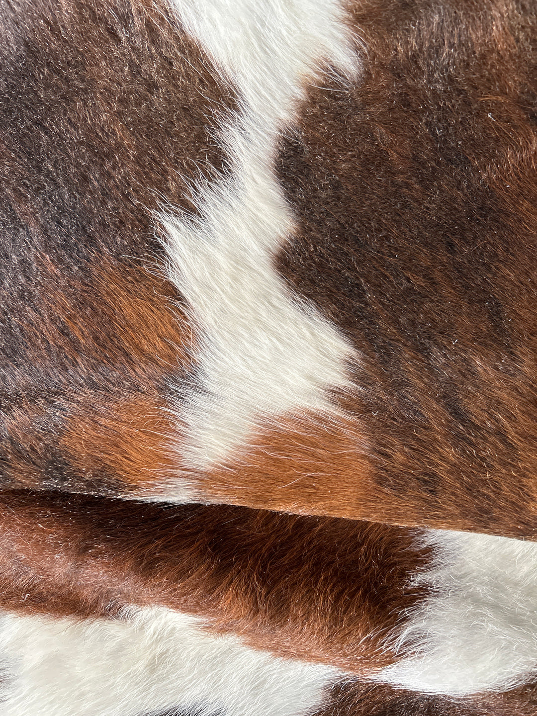 Premium  Cowhide Rug  1.79m x 1.70m (70" x 67") - cowhiderugslondon.co.uk