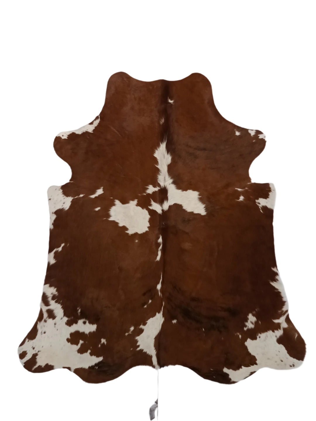 Small Cowhide Rug 241 1.77m x 1.61m (70" x 63") - cowhiderugslondon.co.uk