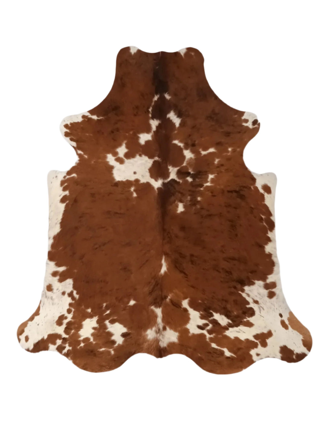 Cowhide Rug Premium 307 207cm x 195cm (81" x 77") - cowhiderugslondon.co.uk