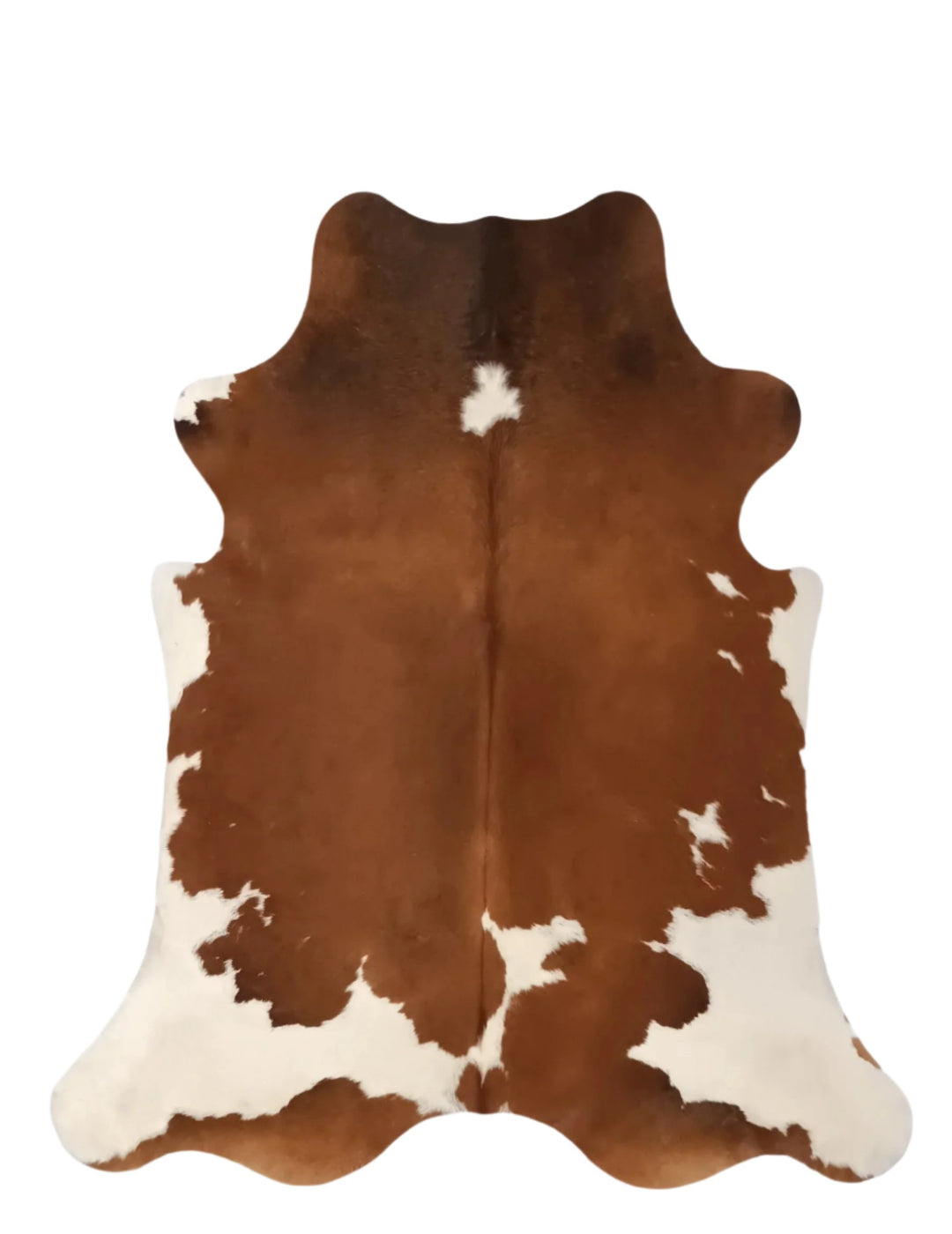 Cowhide Rug Premium 308  203cm x 195cm (80" x 77") - cowhiderugslondon.co.uk