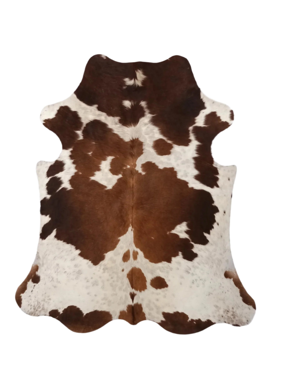 Cowhide Rug Premium 312 203cm x 181cm (80" x 71") - cowhiderugslondon.co.uk