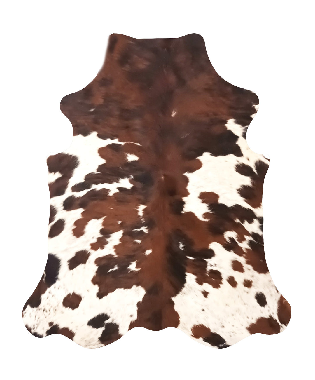 Cowhide Rug Premium 339 197cm x 171cm (78" x 67") - cowhiderugslondon.co.uk