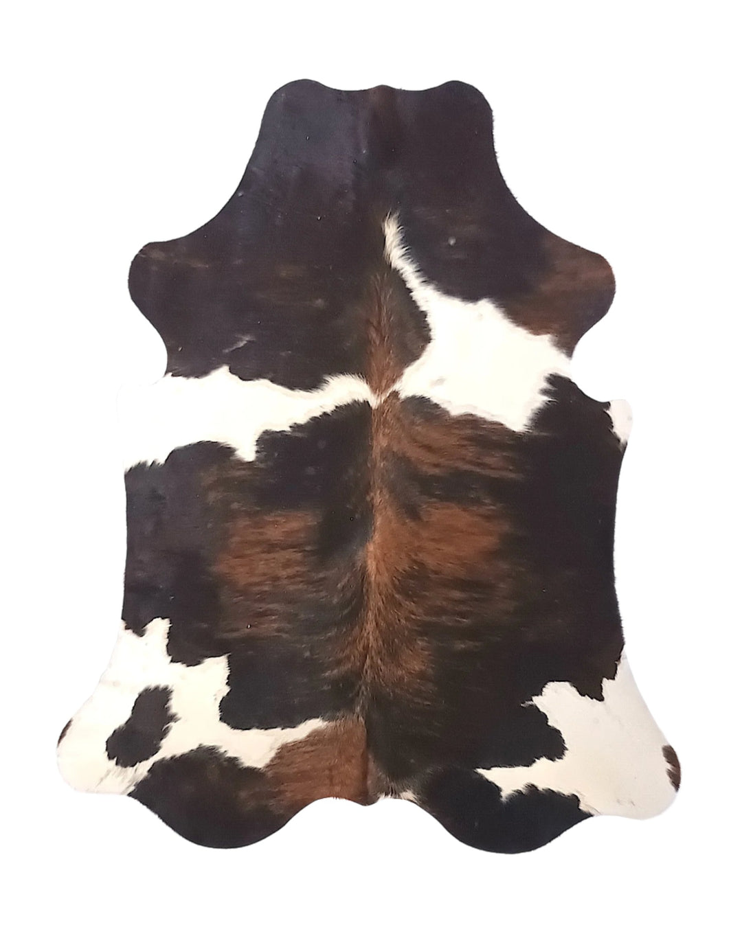 Cowhide Rug Premium 343 205cm x 174cm (81" x 69") - cowhiderugslondon.co.uk