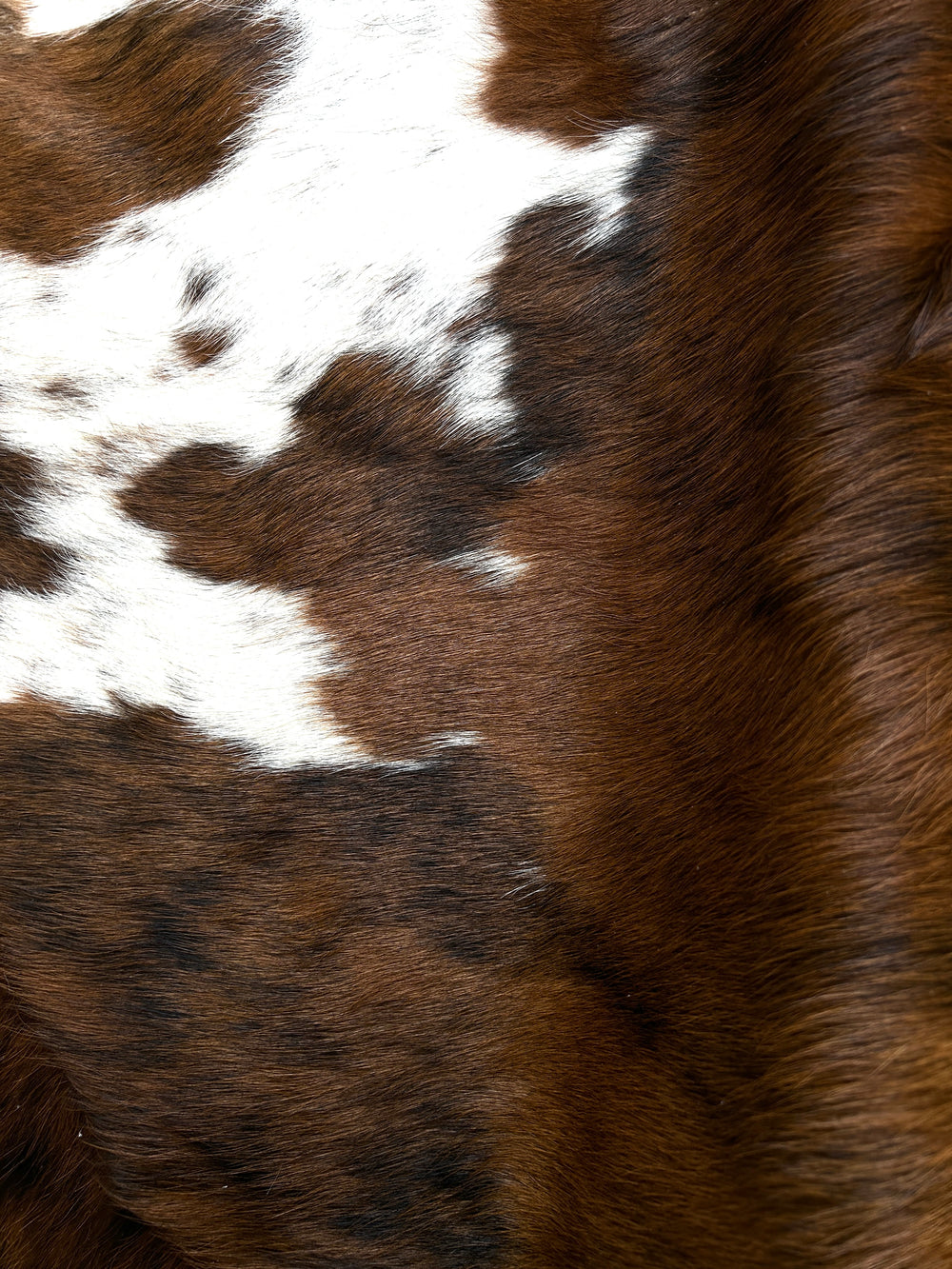 Premium  Cowhide Rug  1.83m x 1.68m - cowhiderugslondon.co.uk