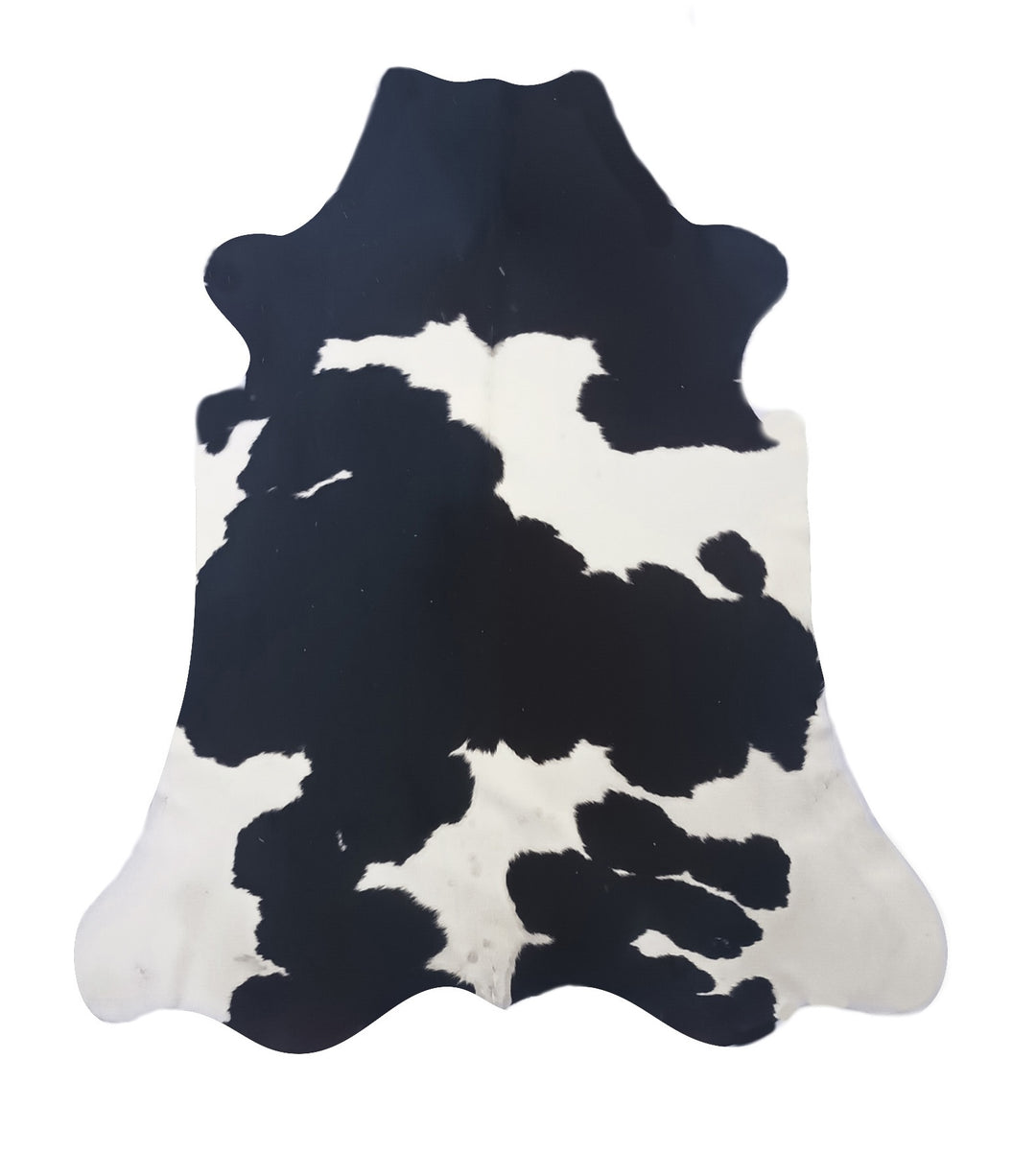 Premium Cowhide Rug 424  232cm x 210cm (92" x 83") XXL - cowhiderugslondon.co.uk