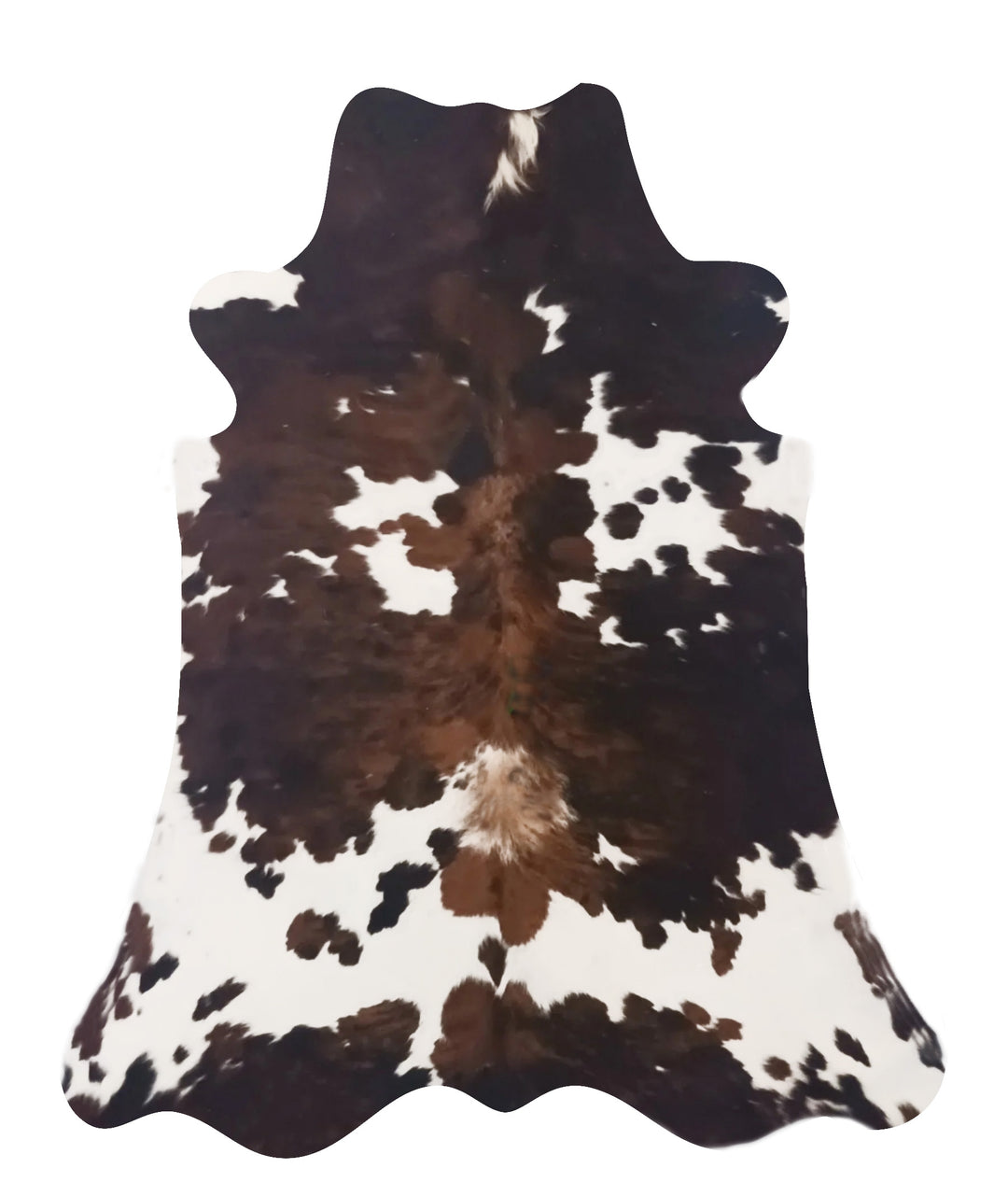 Premium Cowhide Rug 448 248cm x 199cm (99" x 78") XXL - cowhiderugslondon.co.uk