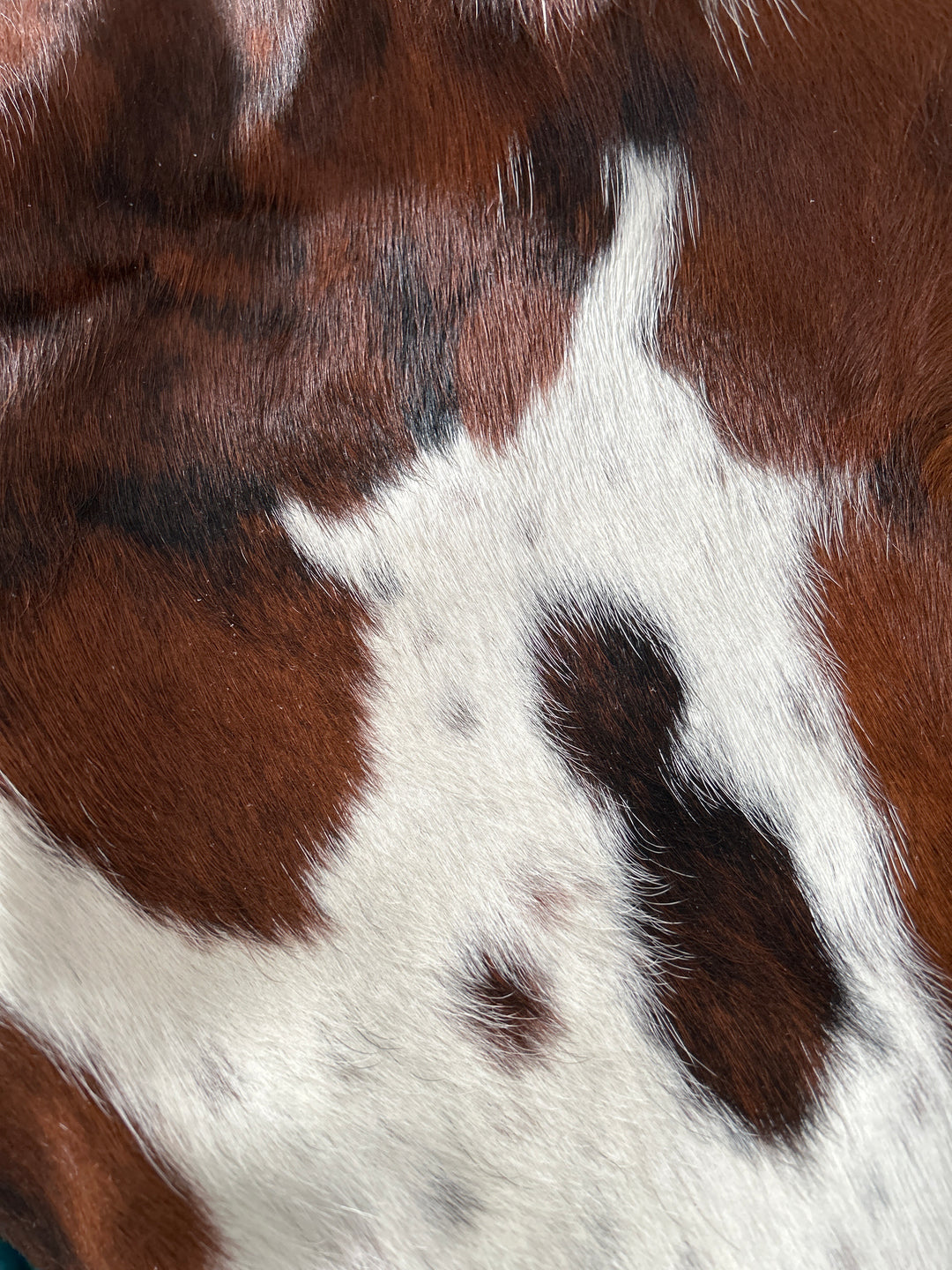 Cowhide Rug Premium DM430     207cm x 184m - cowhiderugslondon.co.uk