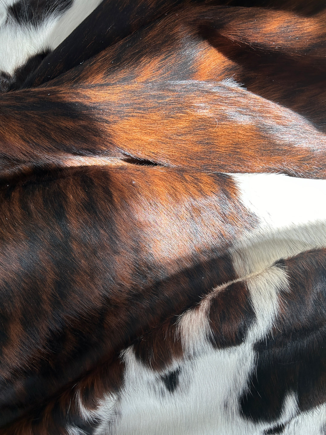 Cowhide Rug Premium DM404    213cm x 187m - cowhiderugslondon.co.uk