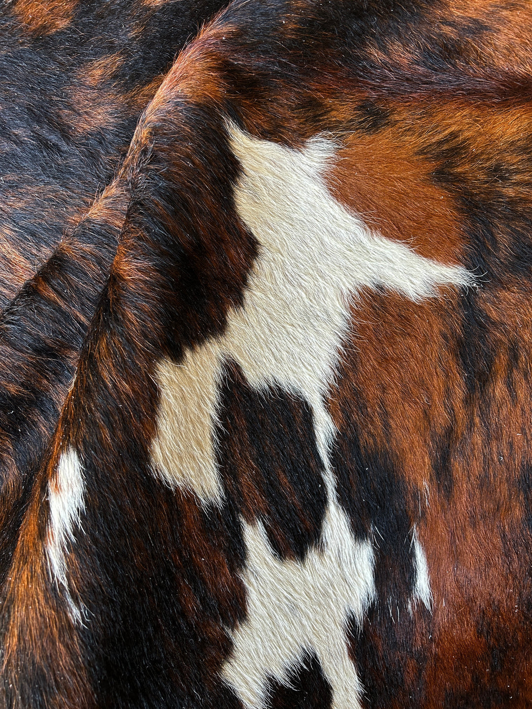 Premium Cowhide Rug 456 224cm x 1.98cm (88" x 78") - cowhiderugslondon.co.uk