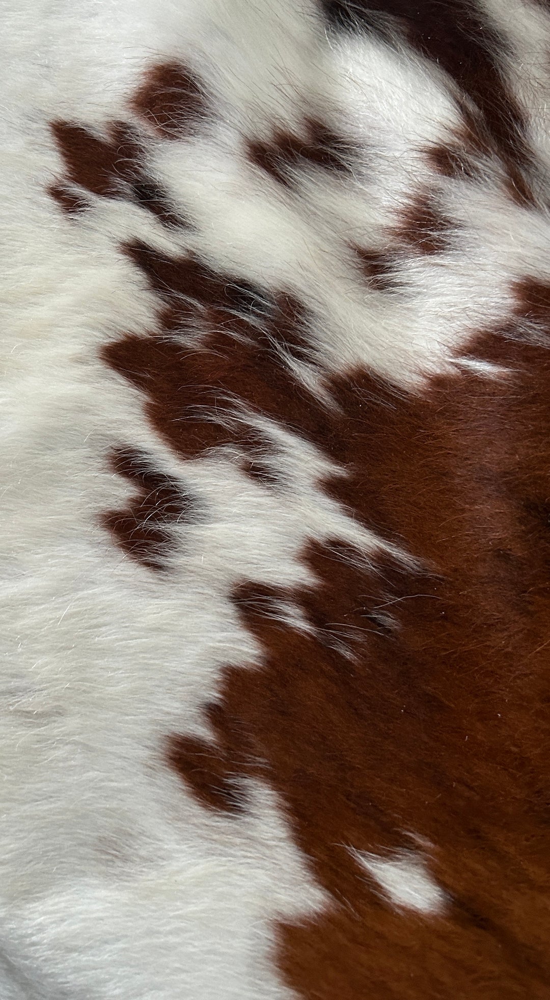 Cowhide Rug Premium 329  201cm x 193cm (79" x 76")