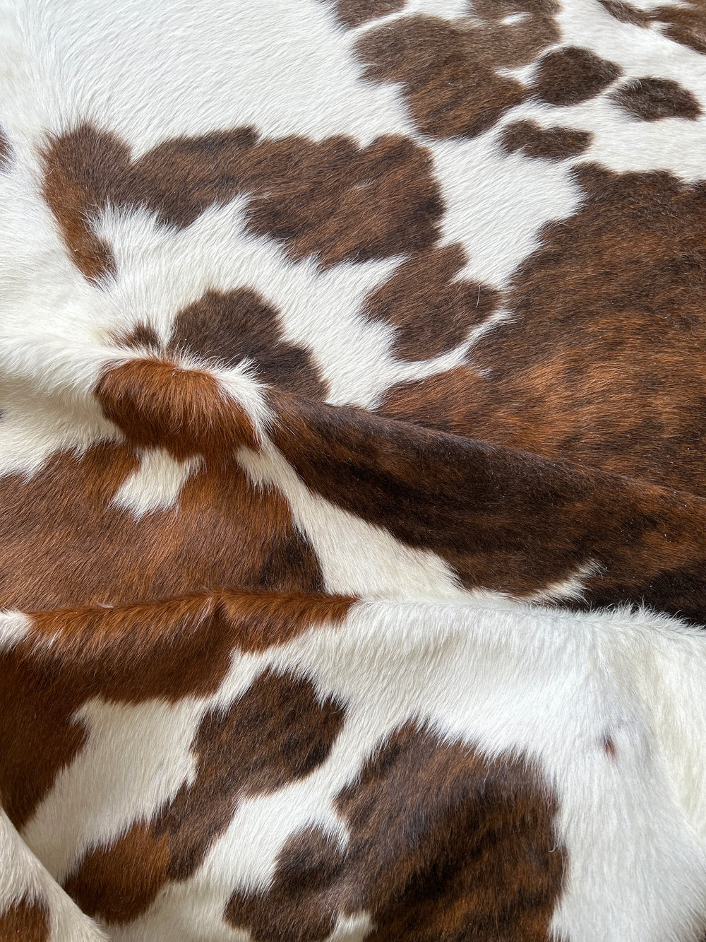 Premium Cowhide Rug 467   241cm x 193cm XXL - cowhiderugslondon.co.uk