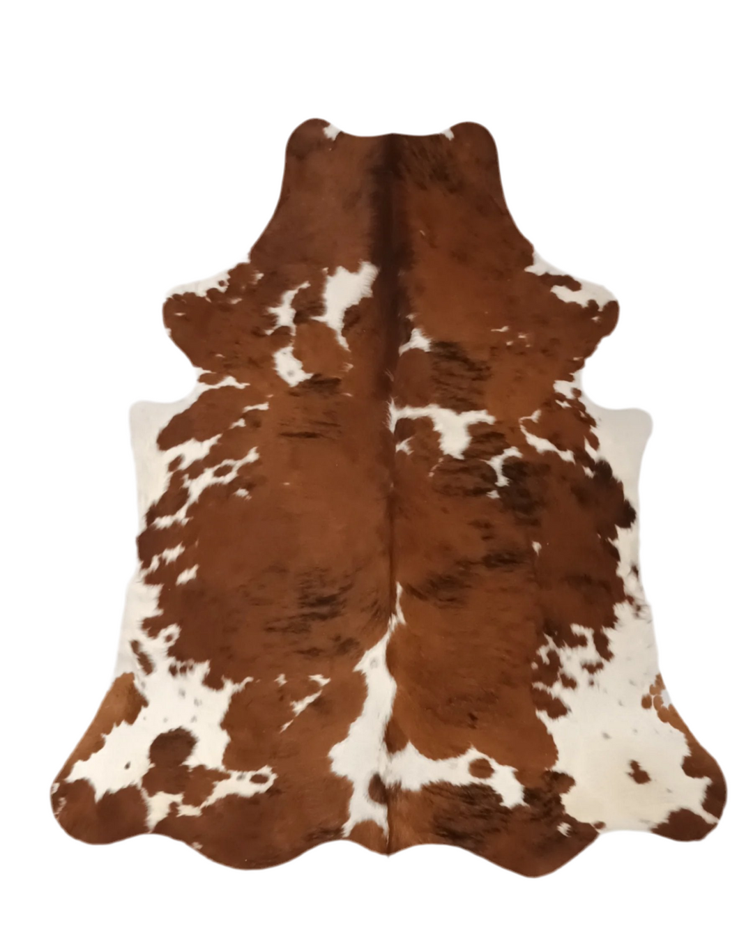 Premium Cowhide Rug 301  215cm x 1.91cm (85" x 75") - cowhiderugslondon.co.uk