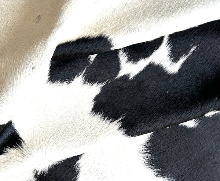 Cowhide Rug Premium 322 206cm x 187cm (81" x 74") - cowhiderugslondon.co.uk