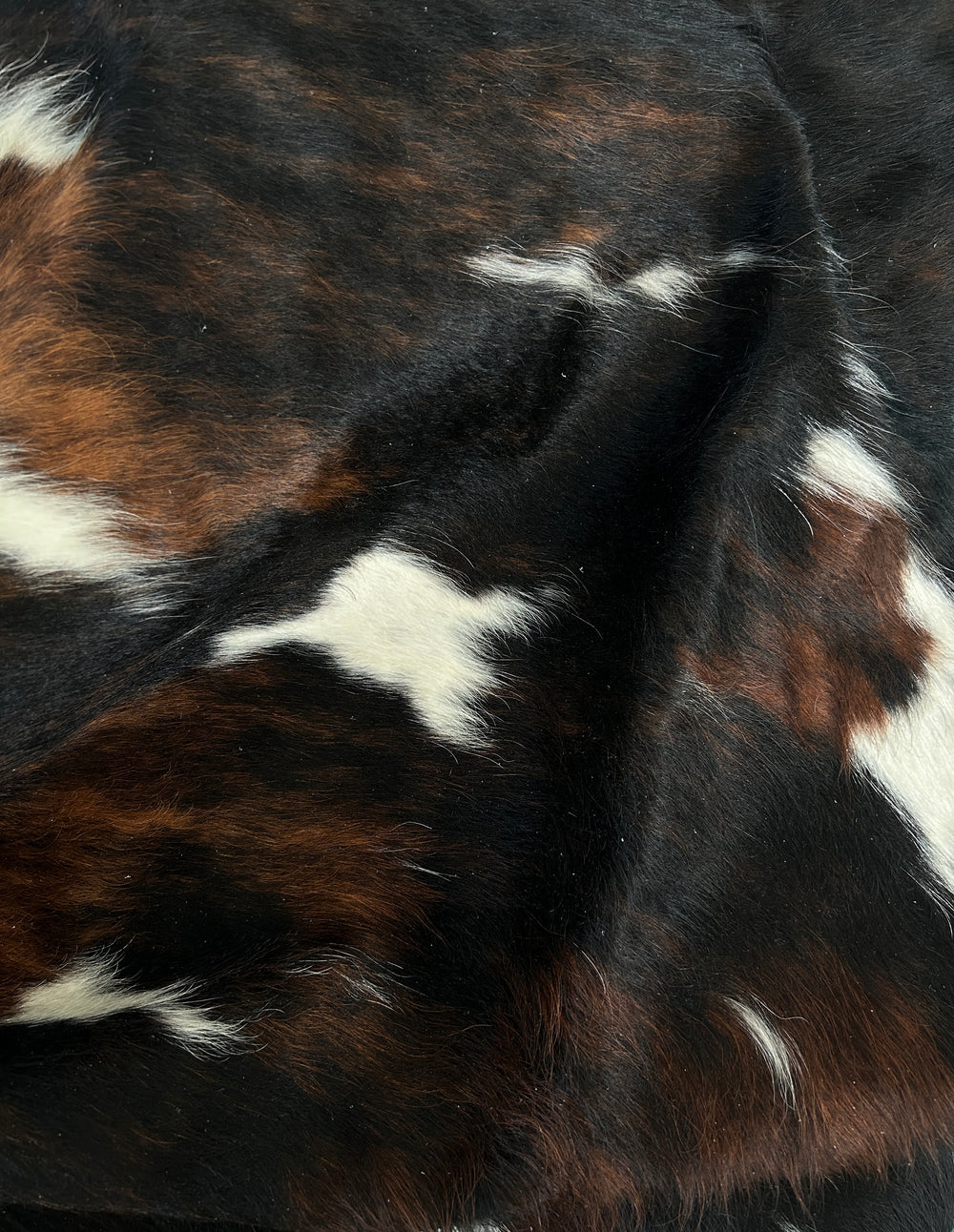 Cowhide Rug Premium AM261  205cm x 191cm - cowhiderugslondon.co.uk