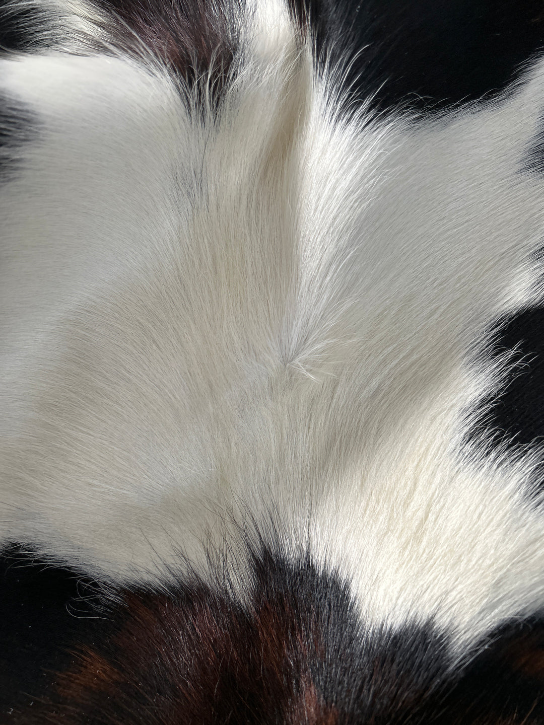 Cowhide Rug Premium DM438 205cm x 183m - cowhiderugslondon.co.uk