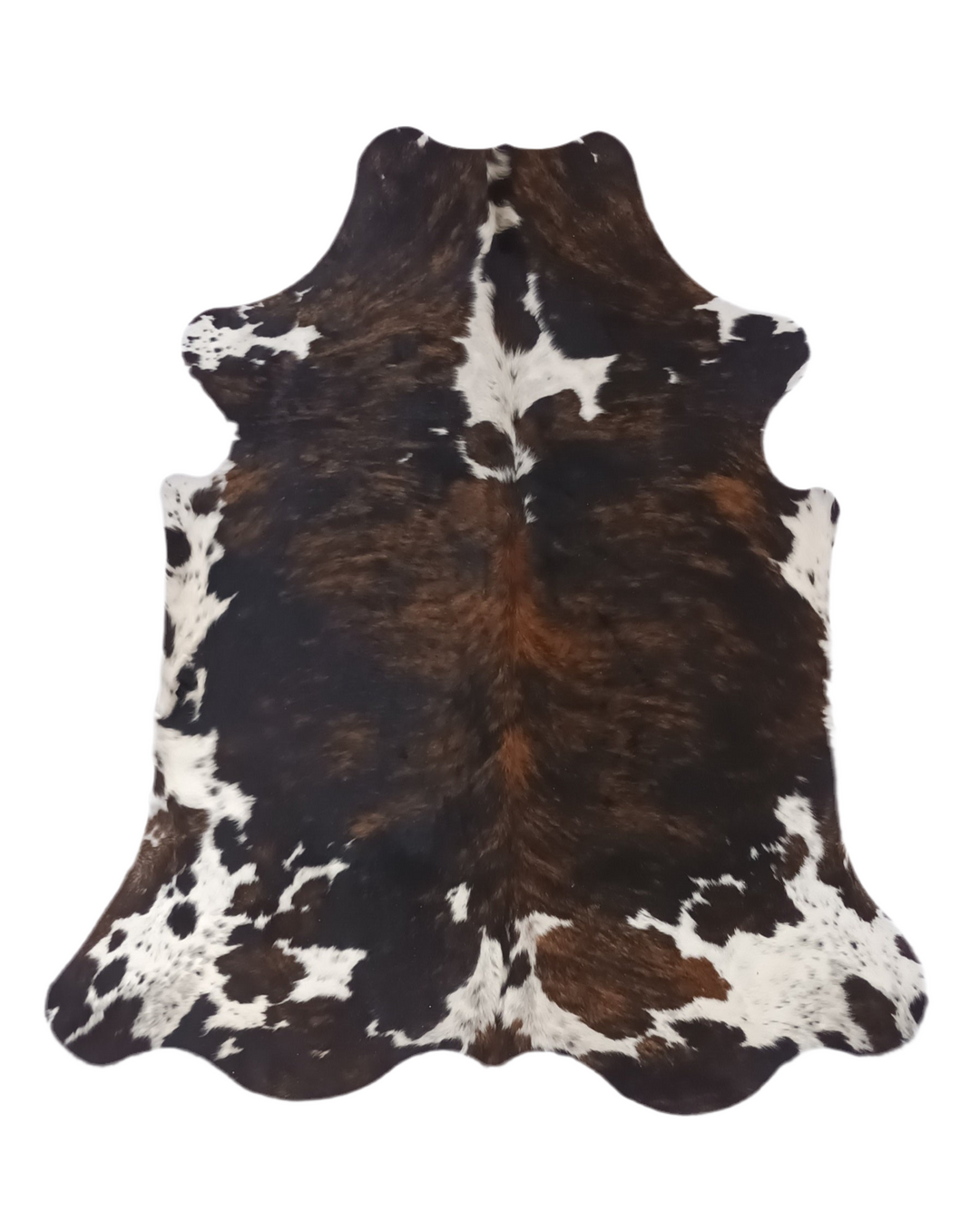 Premium Cowhide Rug 300 210cm x 1.83cm (83" x 72") - cowhiderugslondon.co.uk