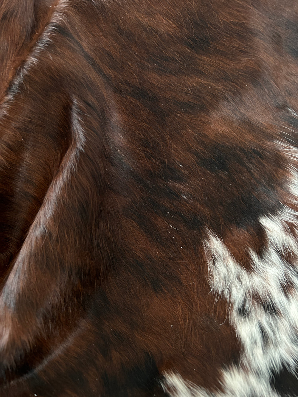 Premium Cowhide Rug 428  223cm x 210cm (88" x 83") - cowhiderugslondon.co.uk