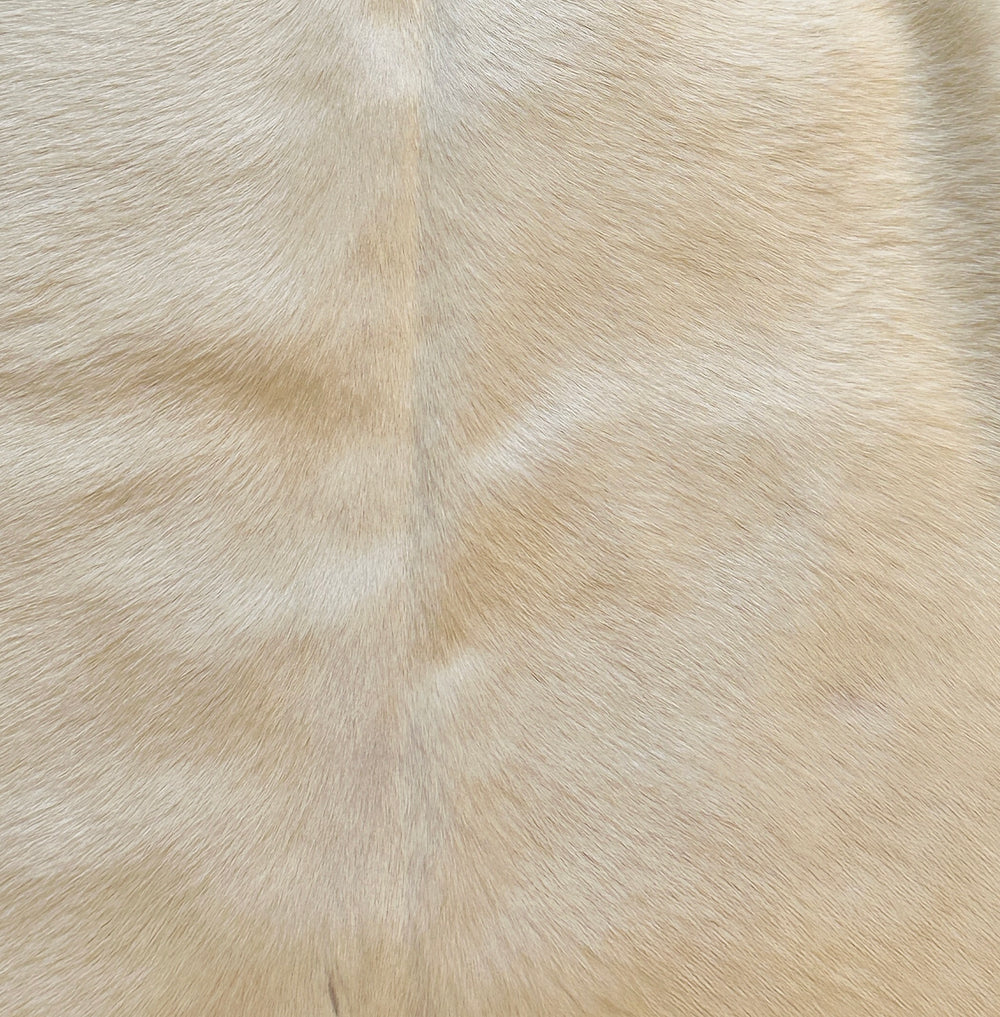 Premium Cowhide Rug 446 208cm x 192cm (82" x 76") White Cream - cowhiderugslondon.co.uk