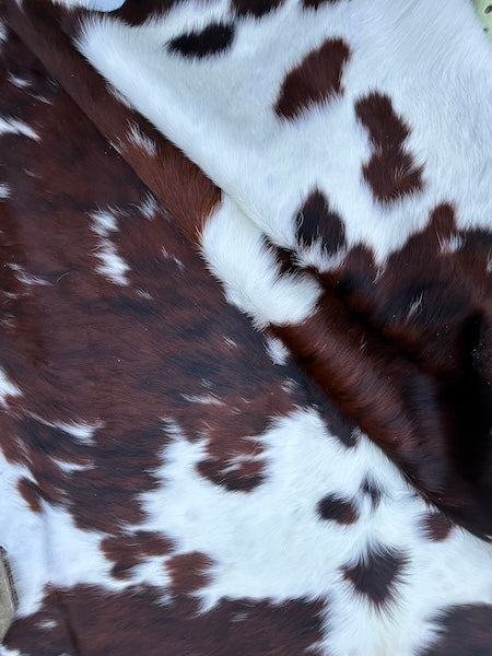 Premium Cowhide Rug AM245  205cm x 194cm - cowhiderugslondon.co.uk