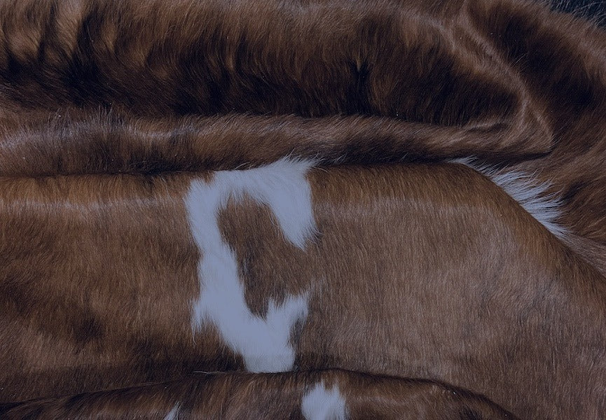 Premium Cowhide Rug AM285  201cm x 193m - cowhiderugslondon.co.uk